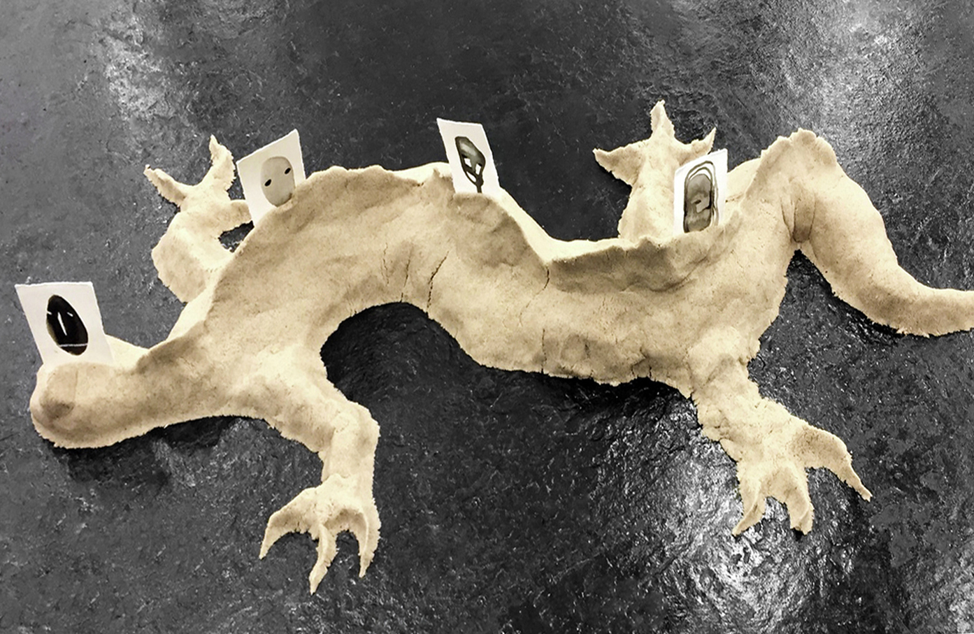 Salamander